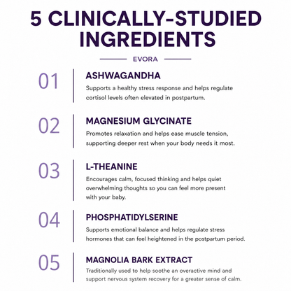 Evora Reset™ Nervous System Support
